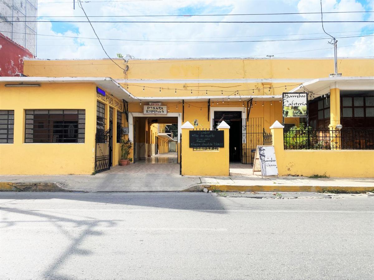 Oyo Posada Espinosa, Merida, Parque De Santa Ana 外观 照片